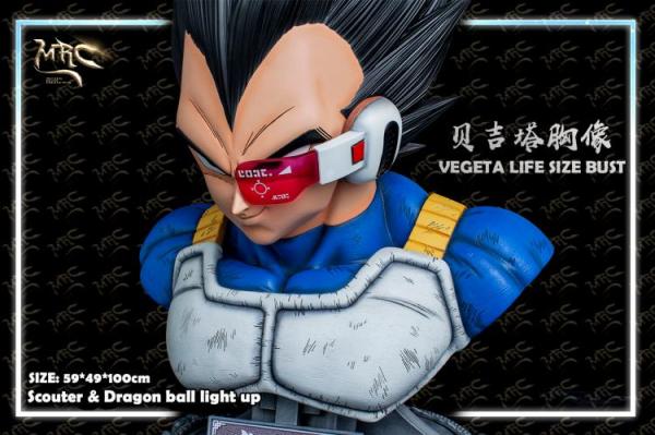mrc studio vegeta