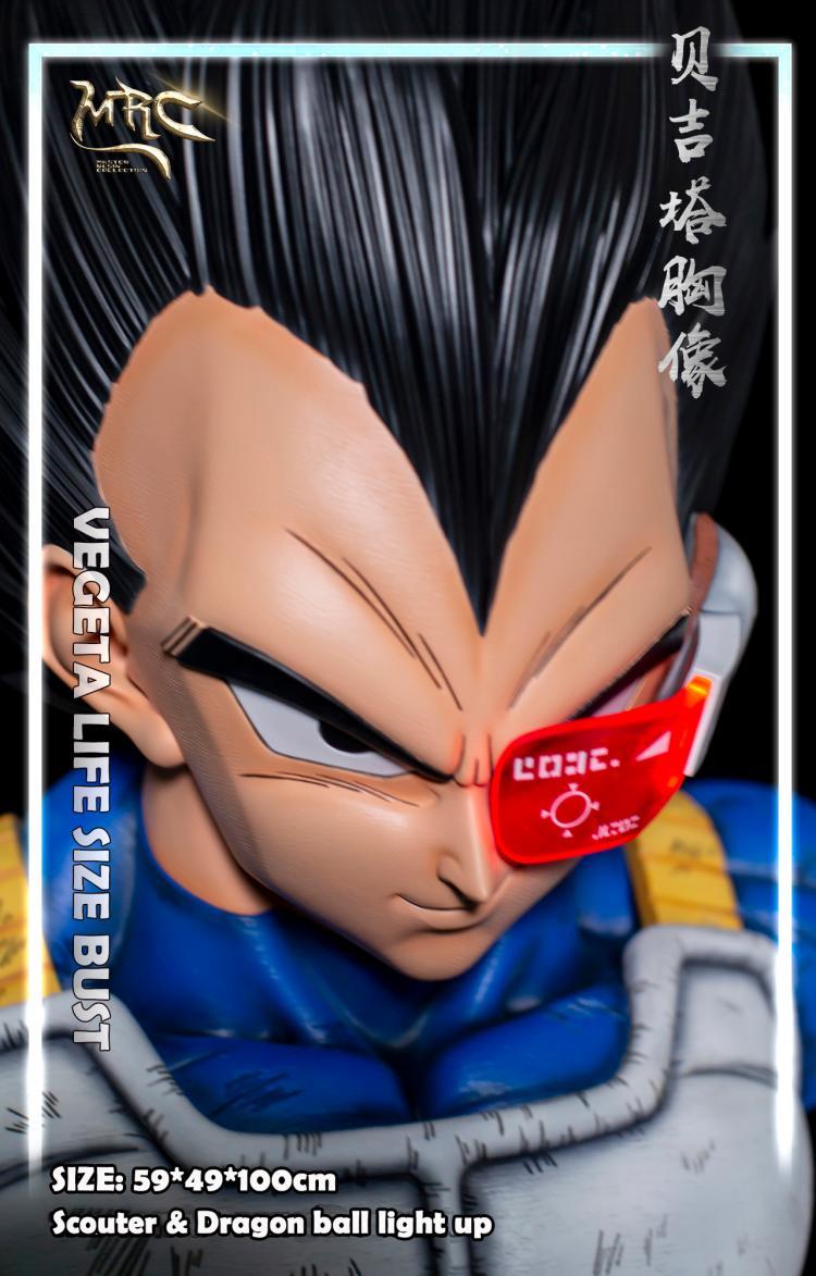 mrc studio vegeta