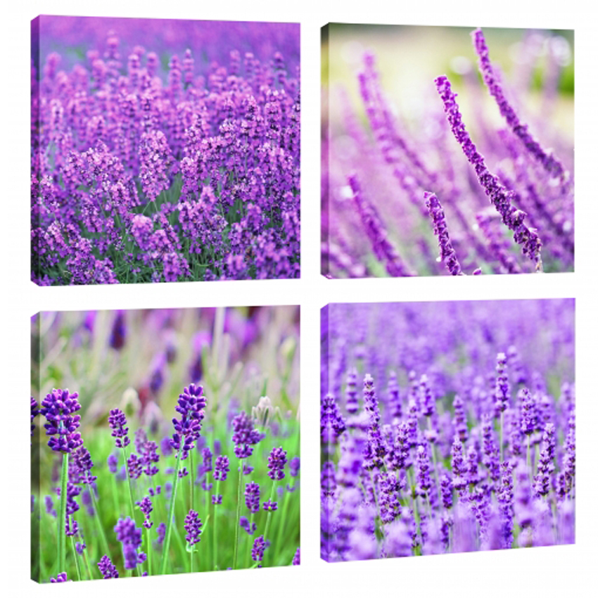 Amosi Art 4 Panels Lavender Canvas Wall Painting Landscape Picture Prints On Contemporary Artwork Stretched And Framed Ready