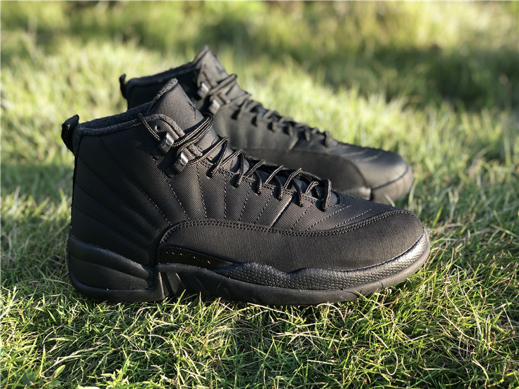 air jordan 12 wntr