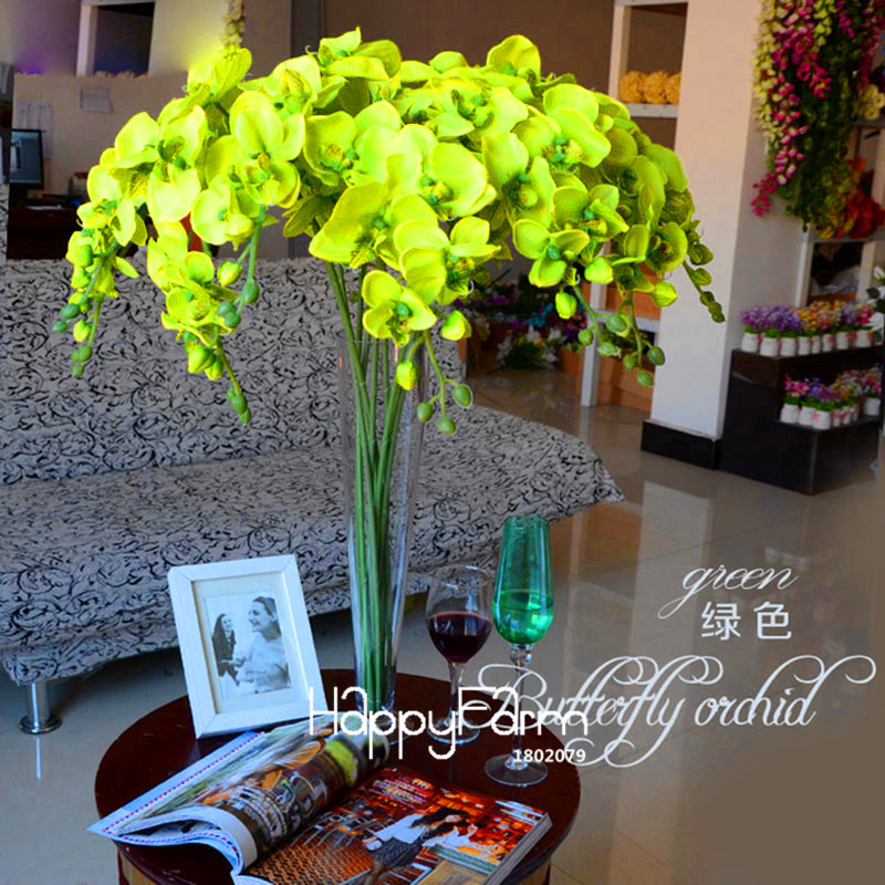 Us 0 8 Time Limit 100 Seeds Pack Bonsai Pot Flowers Seeds Home Garden Plants Indoor Phalaenopsis Orchid Seed M Enjoymygarden Com