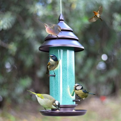 2019 New European Style Wild Bird Feeder Outdoor Bird Feeders Food
