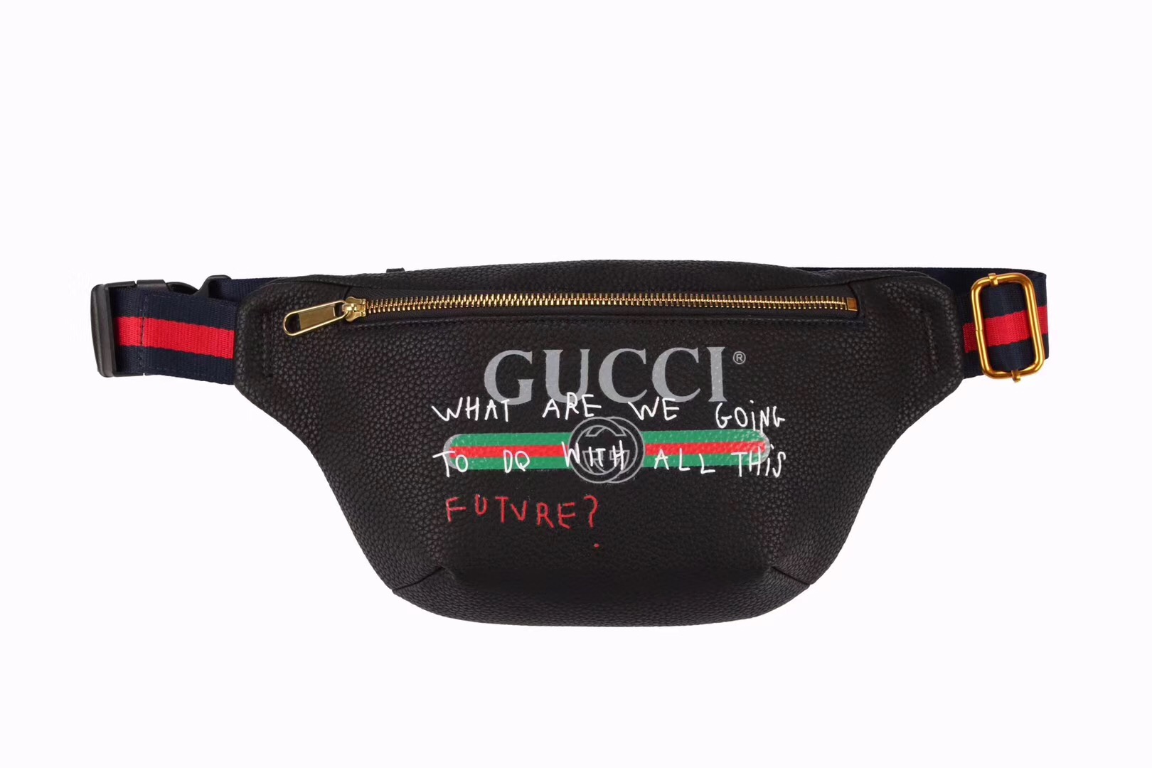 what are we going to do with all this future fanny pack