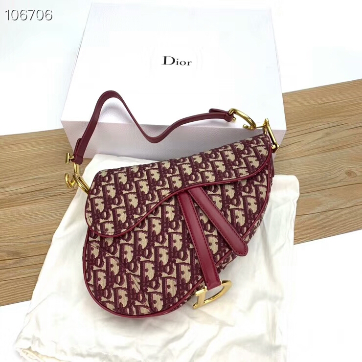 Saddle Dior Oblique Bags