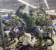In Stock Marvel HULK transformation  1/4 Scale Statue Polystone