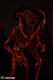 In stock 3109 Studio Alien form 1/6 scale brown Full-body Polystone Resin statue