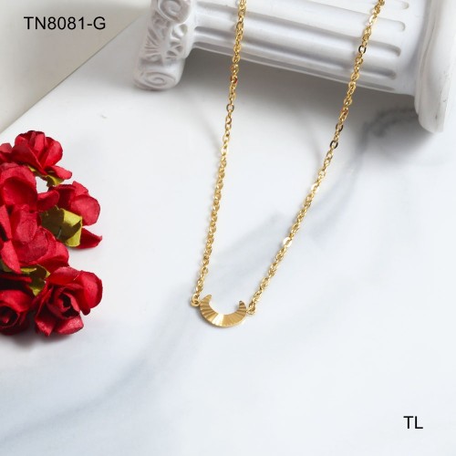 TN8081-G