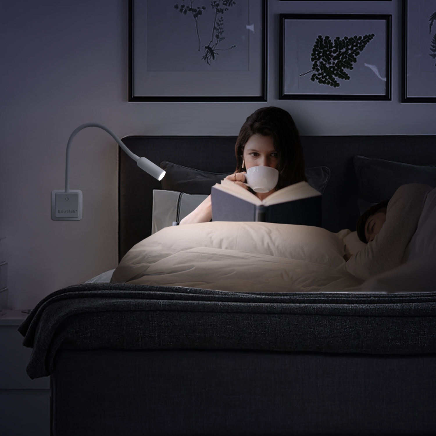 wall reading light plug in