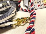 グッチバッグコピー 2021新品注目度NO.1 GUCCI レディース ハンドバッグ