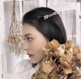 希少♪限定 ディオール ヘアピン スーパーコピー