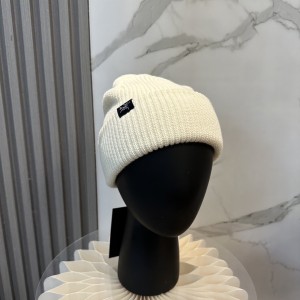 絶対欲しい！2026 アークテリクス 新作 帽子 ニット帽 偽物