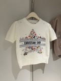 超限定♪ 2026 ディオール 新作 半袖Tシャツ コピー 2色
