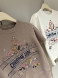 超限定♪ 2026 ディオール 新作 半袖Tシャツ コピー 2色