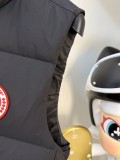 絶対欲しい！2026 カナダグース 新作 ダウンベスト 偽物