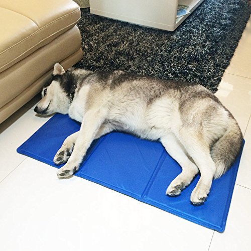 cooling bed for husky