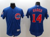 Majestic MLB Chicago Cubs #14 Banks Blue Elite Jerseys