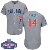 MLB Chicao Cubs #14 Ernie Banks Grey Road 2016 World Series Champions Jersey