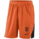 Mens San Francisco Giants Nike Orange Franchise Performance Shorts