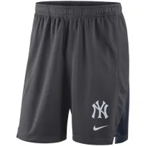 Mens New York Yankees Nike Anthracite Franchise Performance Shorts