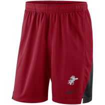 Mens Cincinnati Reds Nike Red Franchise Performance Shorts