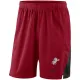 Mens Cincinnati Reds Nike Red Franchise Performance Shorts
