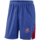 Mens Atlanta Braves Nike Royal Franchise Performance Shorts