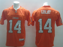 NCAA Bc Lions #14 Travis Lulay Orange Jersey