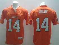 NCAA Bc Lions #14 Travis Lulay Orange Jersey
