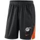 Mens San Francisco Giants Nike Black Franchise Performance Shorts