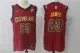 Nike NBA Cleveland Cavaliers #23 James Red Jersey