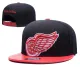 NHL Detroit Red Wings Black Snapback Hats--GS