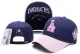 MLB Los Angeles Dodgers Blue pink Snapback Hats--TY