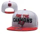 NFL Tampa Bay Buccaneers Grey Snapback Hats--YD