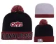 NBA Cleveland Cavaliers Black Beanie---YD