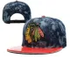 NHL Chicago Blackhawks Blue Snapback Hats--YD