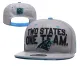 2018 Carolina Panthers Draft Grey Snapbacks