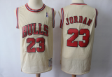 NBA Bulls 23 Michael Jordan Cream Hardwood Classics Men Jersey