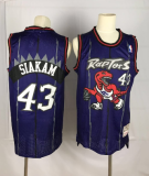 NBA Raptors 43 Pascal Siakam Purple Hardwood Classics Men Jersey