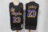 NBA Los Angeles Lakers #23 James Bryant Black Hardwood Classics Mesh Jersey