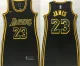 Women NBA Los Angeles Lakers #23 LeBron James Black Dress Jersey