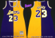Women NBA Los Angeles Lakers #23 LeBron James Purple/Yellow Split Throwback Dress Jersey