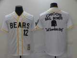 Bad News Bears Button Down #12 Tanner Boyle White Movie Baseball Jersey