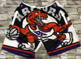 NBA Toronto Raptors Fashion Shorts