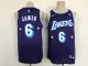 NBA Los Angeles Lakers #6 LeBron James Purple 2021 City Edition 75th Anniversary Jersey