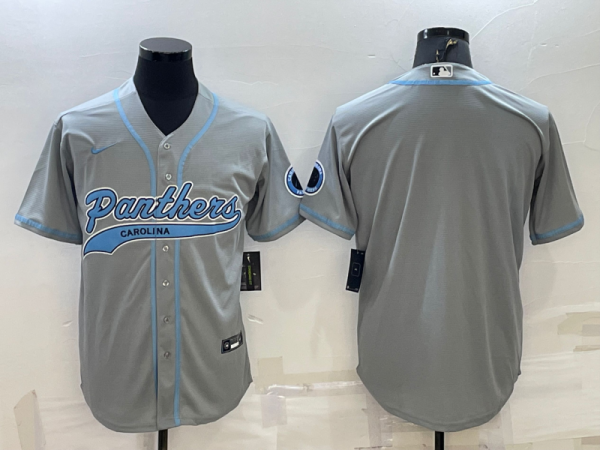 Men's Carolina Panthers Blank Grey Baseball Nike Jersey