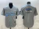 Men's Carolina Panthers Grey Team Big Logo With Patch Baseball Nike Jersey