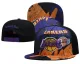 NBA Los Angeles Lakers Fashion Snapback Hats