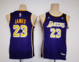 NBA Los Angeles Lakers #6 James Purple Youth Jersey