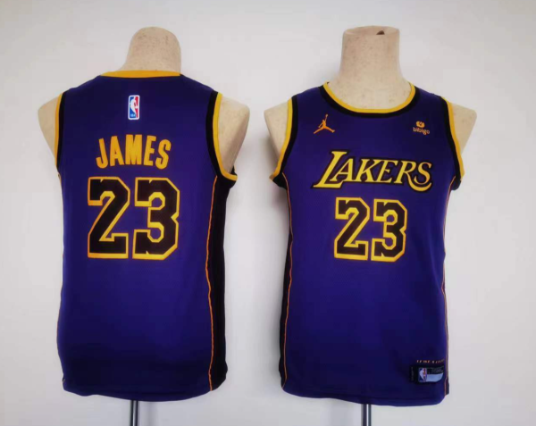 NBA Los Angeles Lakers #6 James Purple Youth Jersey