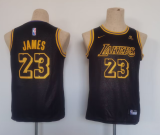 NBA Los Angeles Lakers #6 James Purple Youth Jersey